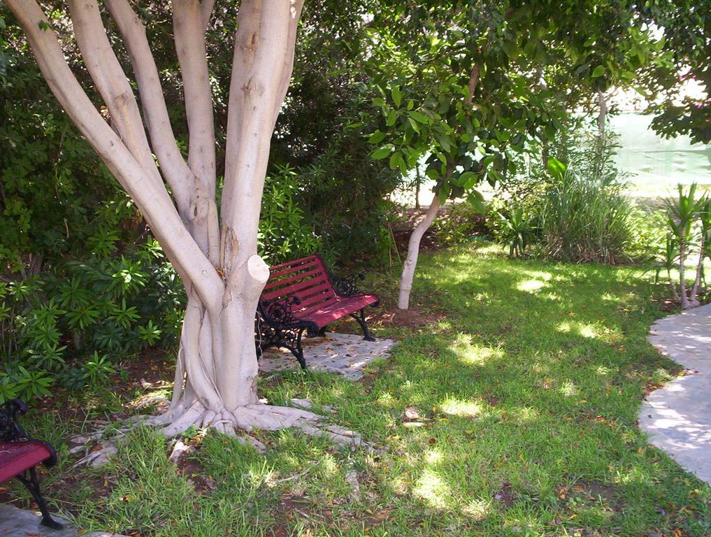 Jasmine Hotel Apartments Limassol Extérieur photo